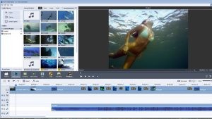 AVS Video Editor Crack 9.6.2.391 Free Download [Latest] 2022